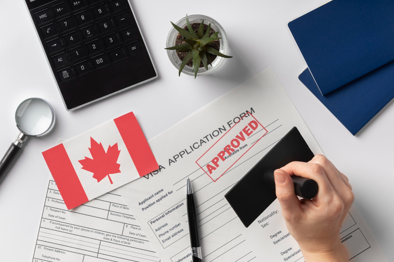 Mortgage renewals in Canada with a person doing the process.